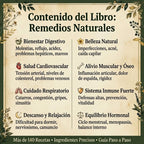 +140 Remedios Caseros En Casa